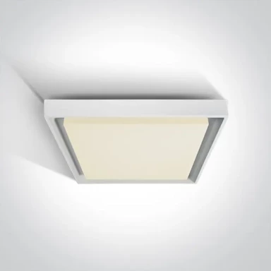 Stropna svjetiljka DM67384A/W/W, LED 30 W, IP54, bijela