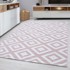 AYYILDIZ CARPETS Svijetlo ružičasti tepih 80x150 cm Plus