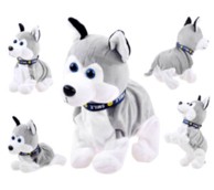 Interaktivni pas sivi, siva