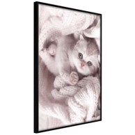 Poster Tangled in Sweater 20x30