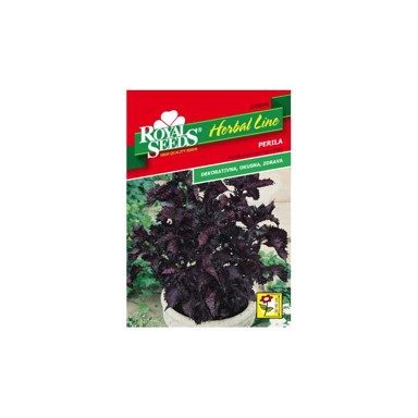 ROYAL SEEDS Sjeme začina 46 shiso japanska perila