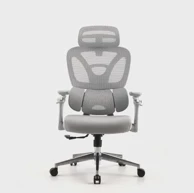 ERGOVISION Uredska stolica Trek 01, siva