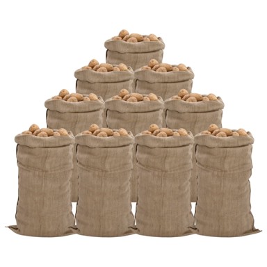 Jutene vreće, 10 kom, 65 x 135 cm, 100 % juta, 340 g/m²