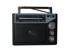 DARTEL Radio FM DARTEL RD-150 Crni