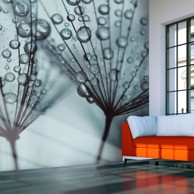 Foto tapeta Turquoise dandelion 250x193