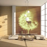 Foto tapeta dandelion (sepia) 300x231