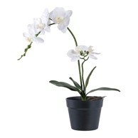 HOUSE NORDIC Umjetna biljka Orchid, visina 47 cm
