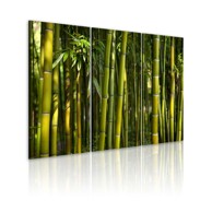 Slika Green bamboo 60x40
