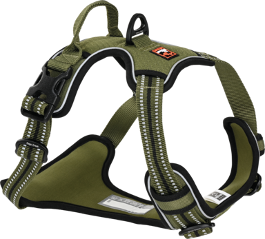 DOGS CREEK Oprsnica za pse Pathfinder L, zelena