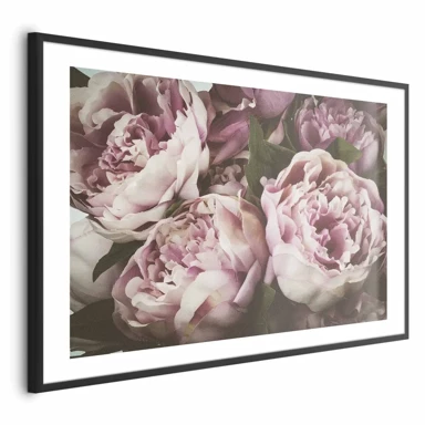 Plakat Pink Peonies, 42x29.7 cm