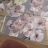 CATHERINE LANSFIELD Podmetač 2 kom 30x46 cm Dramatic Floral