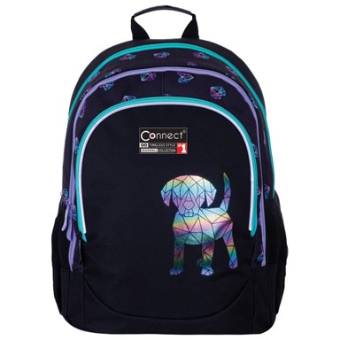 CONNECT Školski anatomski ruksak Best friend