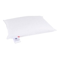 UNIVERSE OF SLEEPING Punilo za jastuk s punjenjem od perja, 40x80 cm Neptune Low