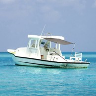 Set brodskog sjenila s nastavcima, vrh od T-oblika, 174x205x(115-194) cm,