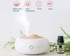 AROMATHERAPY INSTITUTE Ultrazvučni difuzor Aroma Zen, 250 ml