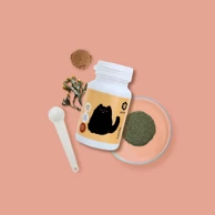 APICAT Skin dodatak prehrani u prahu, 60 g