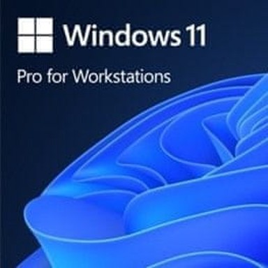 MICROSOFT Windows 11 Pro for Workstations, 64-bit, poljski