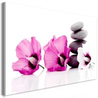 Slika Calm Mallow Pink 120x60