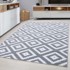 AYYILDIZ CARPETS Svijetlo sivi tepih 160x230 cm Plus 