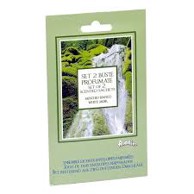 ALADINO Mirisni privjesak White Musk 2/1