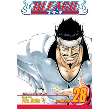 Bleach vol. 28