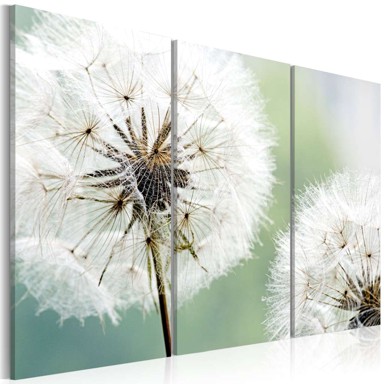Slika Fluffy dandelions 60x40