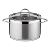 TESCOMA Inox lonac s poklopcem za indukciju 11 l Vision