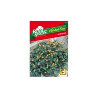 ROYAL SEEDS Sjeme začina 54 spilantes