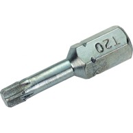 LUX TOOLS Bit za bušilicu 1 dijamantni bit torx TX 20