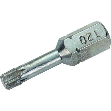 LUX TOOLS Bit za bušilicu 1 dijamantni bit torx TX 20