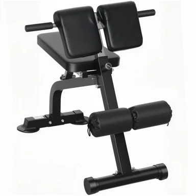 Sklopiva klupa za vježbanje i rimska stolica s 10 visina, 96,6 x 68 x 69-110 cm, do 150 kg, crna