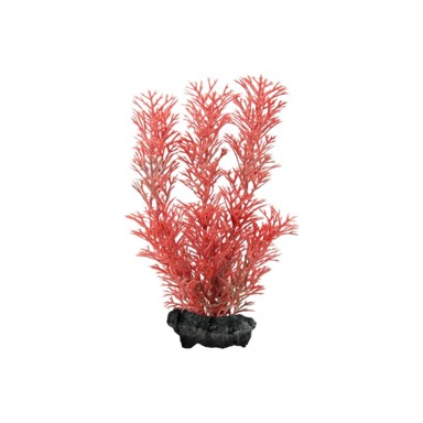 TETRA Umjetno bilje DecoArt Foxtail Red M
