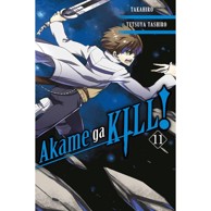 Akame ga KILL! vol. 11