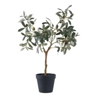 HOUSE NORDIC Umjetno drvo masline (visina 61 cm)