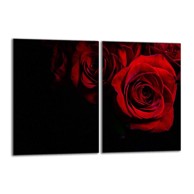 TMK Staklena zaštita za štednjak ili ploču za kuhanje iz dva dijela 40x52, rose