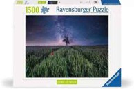 RAVENSBURGER Puzzle Polje i zvijezde, 1500 kom
