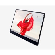 RICOH Prijenosni Monitor 150BW, OLED