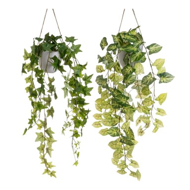 CASA SELECCION Umjetne biljke u setu 2 kom, visina 55 cm