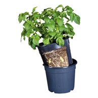 ESSCHERT DESIGN Saksija za krumpir , ø 30,2 cm