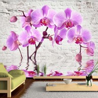 Foto tapeta Purple Delight 400x280