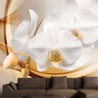 Foto tapeta Orchid blossom 200x140