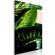 Slika Dieffenbachia Vertical 80x120