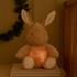 LITTLE DUTCH Noćno svjetlo Bunny