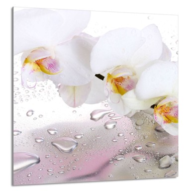 TMK Staklena zaštita za štednjak ili ploču za kuhanje 60x65, orhideja