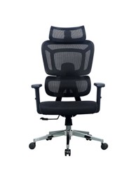 ERGOVISION Ergonomska uredska stolica Apollo, crna