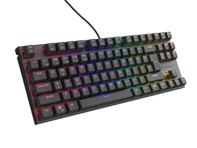 GENESIS Tipkovnica Thor 303 TKL Gaming USB QWERTY američka engleska crna