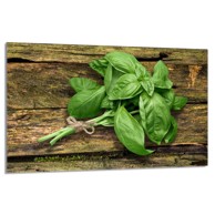 TMK Staklena zaštita za štednjak ili ploču za kuhanje 80x52, basil