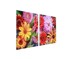 Staklena zaštitna ploča za štednjak Flower 2 x 45 x 52 cm