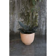 PLANTER Terakota tegla Fi 22 X H 17 cm