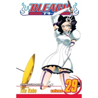 Bleach vol. 29